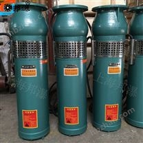 噴泉清水泵,QSP10-10-0.55